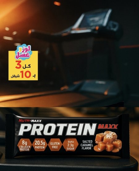 protein bar maxx