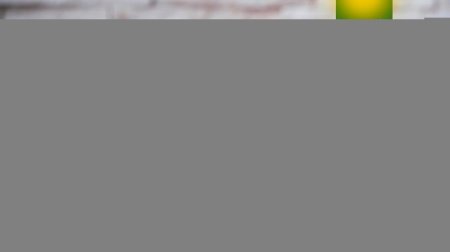 بسكوت دايجستف مغطى بالشوكولاتة بدون سكر